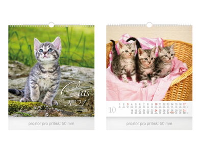 Kalendár 2021 nástenný malý Cats