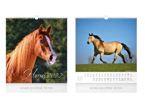 Kalendár 2022 nástenný malý Horses