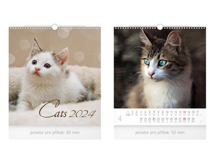 Kalendár 2024 nástenný malý Cats