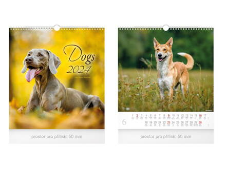 Kalendár 2024 nástenný malý Dogs