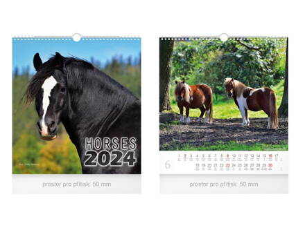 Kalendár 2024 nástenný malý Horses