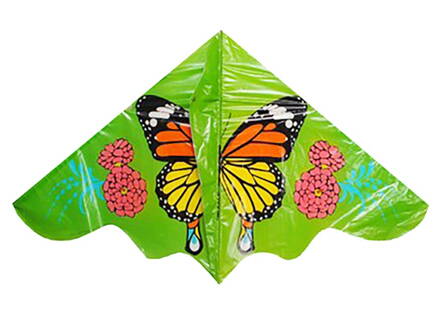 Drak W028591 motýľ 60 x 116 cm - český obal