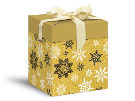 Krabička darčeková vianočná 12x12x15cm
