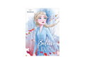 Pohľadnica sr Y029 F Disney (Frozen) UV