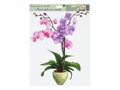Fólia okenná 887 orchidej 42x30cm