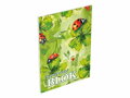 Blok MFP A5 štvorčekový 50l mix