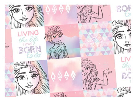Baliaci papier Disney Y053 (Frozen) 100x70 LUX
