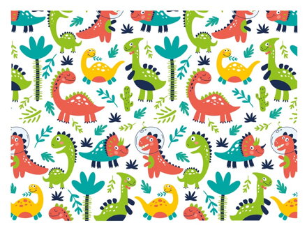 Baliaci papier D071 100x70 LUX