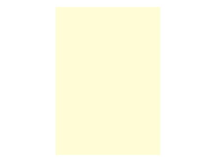 Farebný papier pre výtvarné účely A3/100listov/80g , chamois, EKO