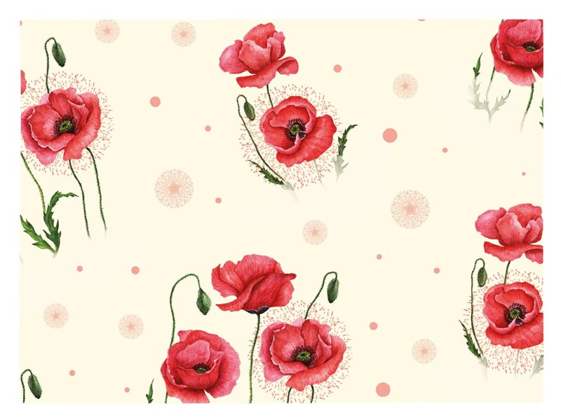 Balaici papier K320 100x70 LUX